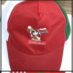 كاب اليوم الوطني